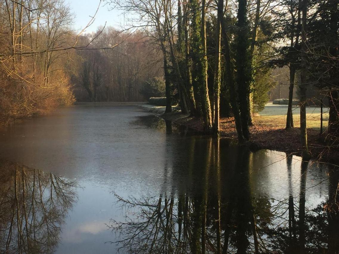 Chateau De Vitry-La-Ville Buitenkant foto